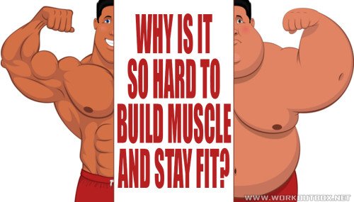 Why is it So Hard to Build Muscle and Stay Fit?
